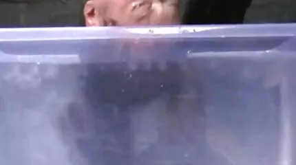 ក្មេងស្រី Insatiable fucking នៅក្នុងរន្ធទាំងអស់ជាមួយនាងនិង amici